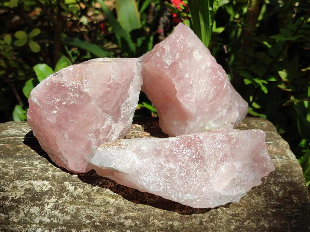 Natural Cobbed Rose Quartz Specimens x 14 From Northern Cape, South Africa