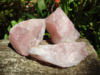 Natural Cobbed Rose Quartz Specimens x 14 From Northern Cape, South Africa