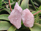 Natural Cobbed Rose Quartz Specimens x 14 From Northern Cape, South Africa