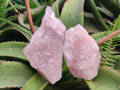 Natural Cobbed Rose Quartz Specimens x 14 From Northern Cape, South Africa - Toprock Gemstones and Minerals 