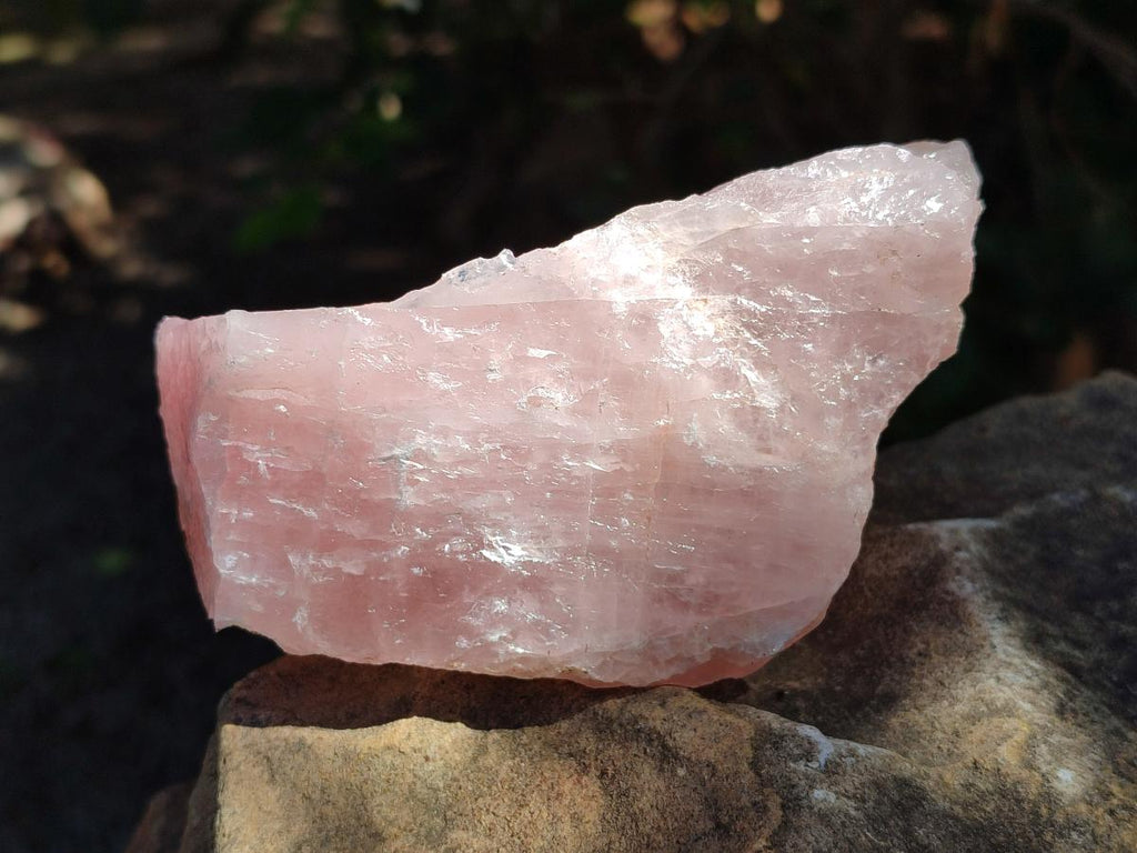 Natural Cobbed Rose Quartz Specimens x 14 From Northern Cape, South Africa