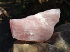 Natural Cobbed Rose Quartz Specimens x 14 From Northern Cape, South Africa