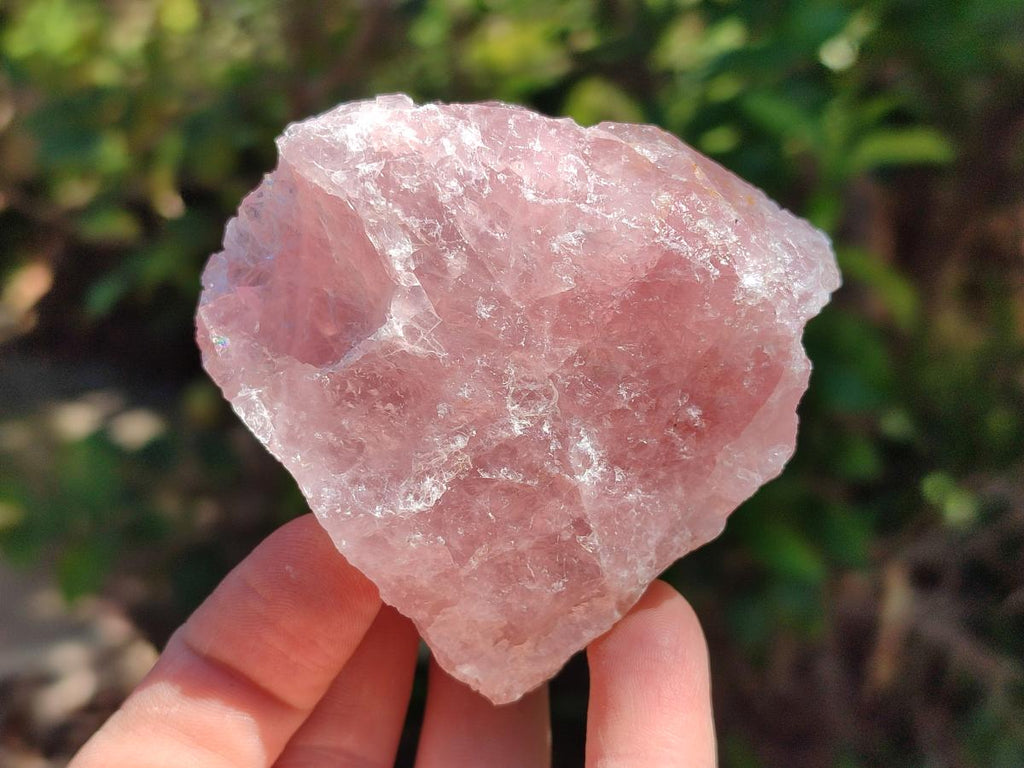 Natural Cobbed Rose Quartz Specimens x 14 From Northern Cape, South Africa
