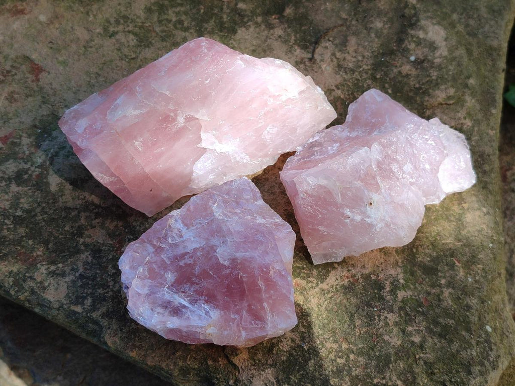 Natural Cobbed Rose Quartz Specimens x 14 From Northern Cape, South Africa