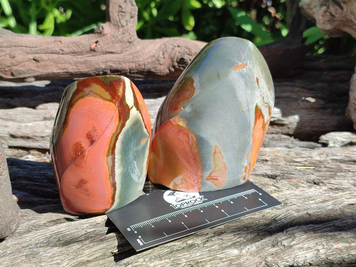 Polished Polychrome Jasper Flames x 6 From Androka, Madagascar