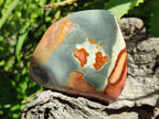 Polished Polychrome Jasper Flames x 6 From Androka, Madagascar