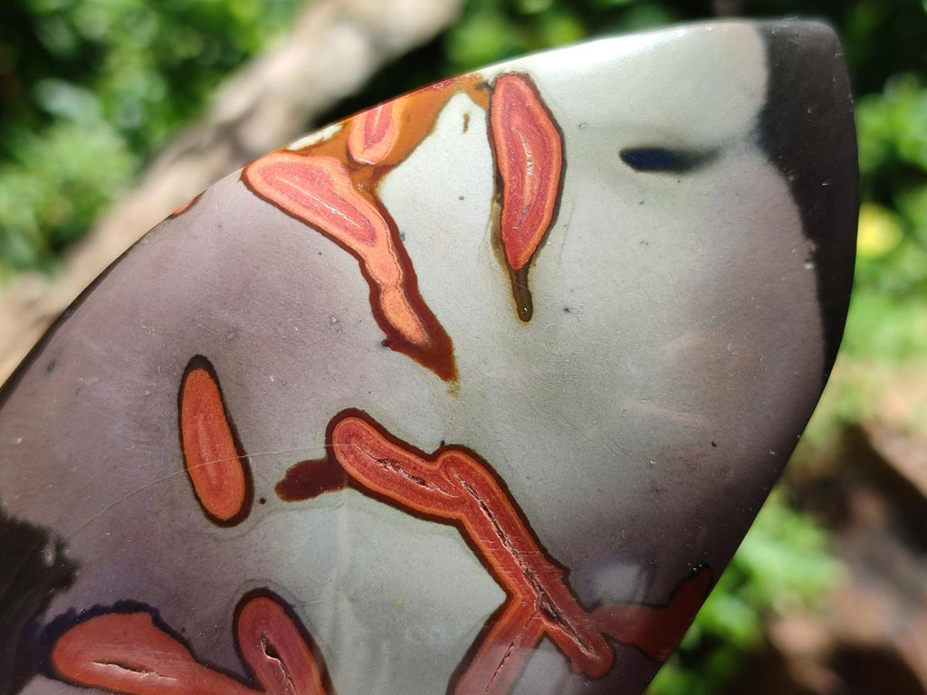 Polished Polychrome Jasper Flames x 6 From Androka, Madagascar