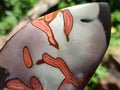 Polished Polychrome Jasper Flames x 6 From Androka, Madagascar