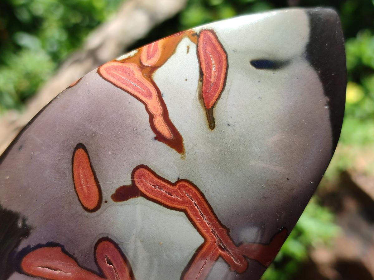 Polished Polychrome Jasper Flames x 6 From Androka, Madagascar