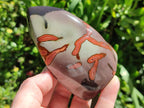 Polished Polychrome Jasper Flames x 6 From Androka, Madagascar