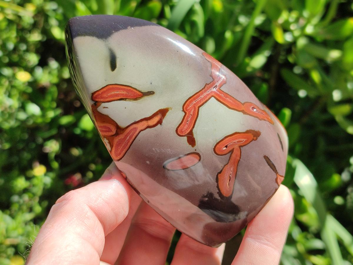 Polished Polychrome Jasper Flames x 6 From Androka, Madagascar