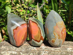 Polished Polychrome Jasper Flames x 6 From Androka, Madagascar