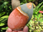 Polished Polychrome Jasper Flames x 6 From Androka, Madagascar