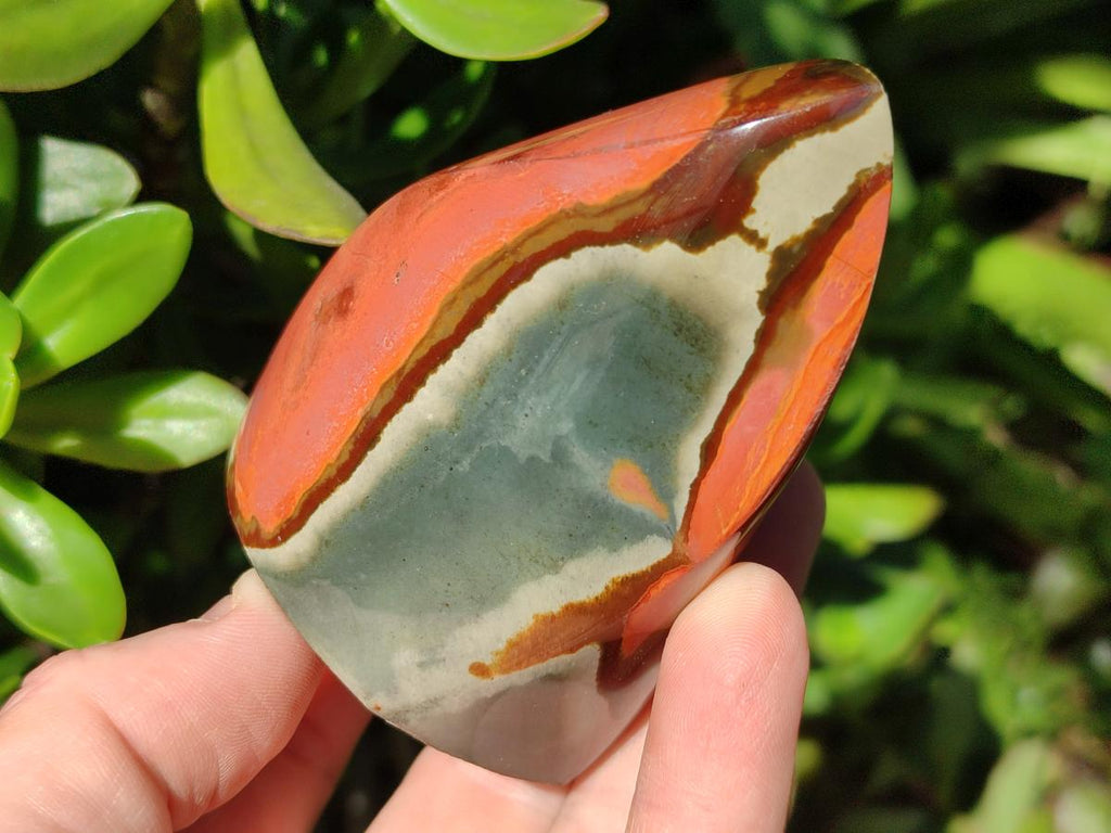 Polished Polychrome Jasper Flames x 6 From Androka, Madagascar