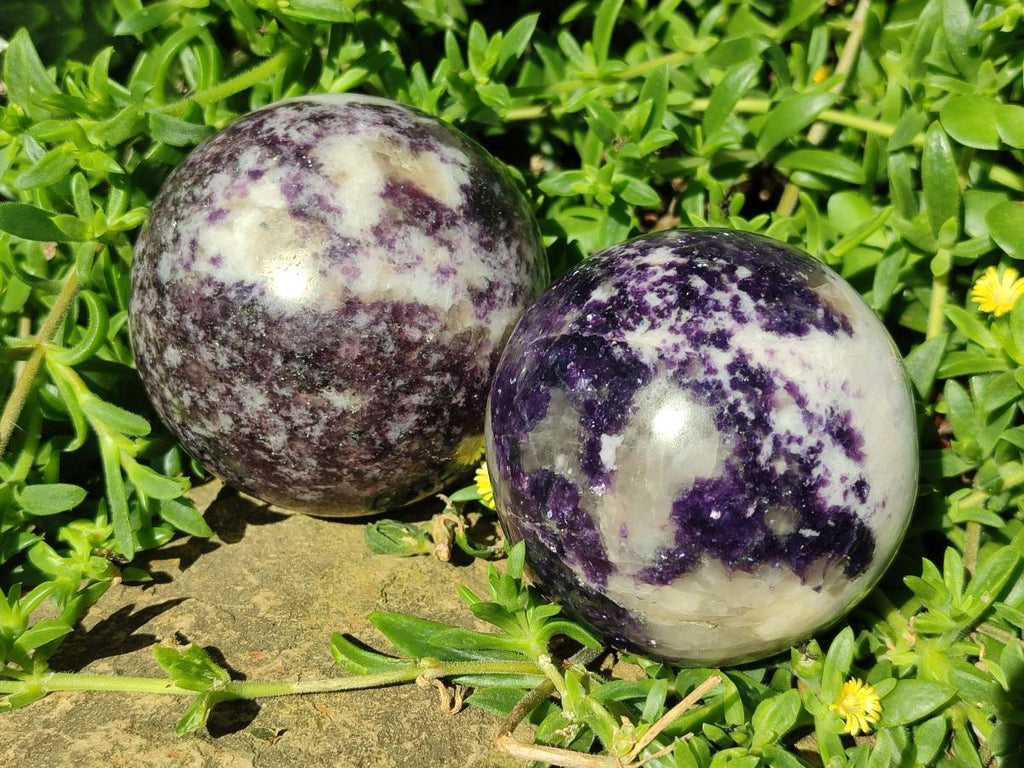 Polished Silver Leaf Lepidolite Spheres x 2 From Zimbabwe