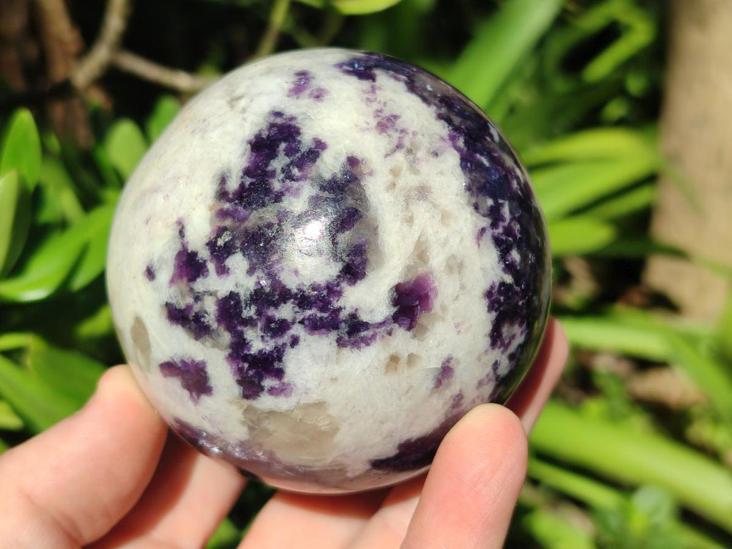 Polished Silver Leaf Lepidolite Spheres x 2 From Zimbabwe