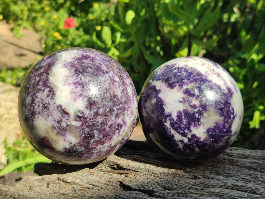 Polished Silver Leaf Lepidolite Spheres x 2 From Zimbabwe