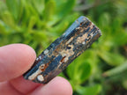 Natural Aegirine Single Crystals x 1,38 Kg Lot From Zomba, Malawi