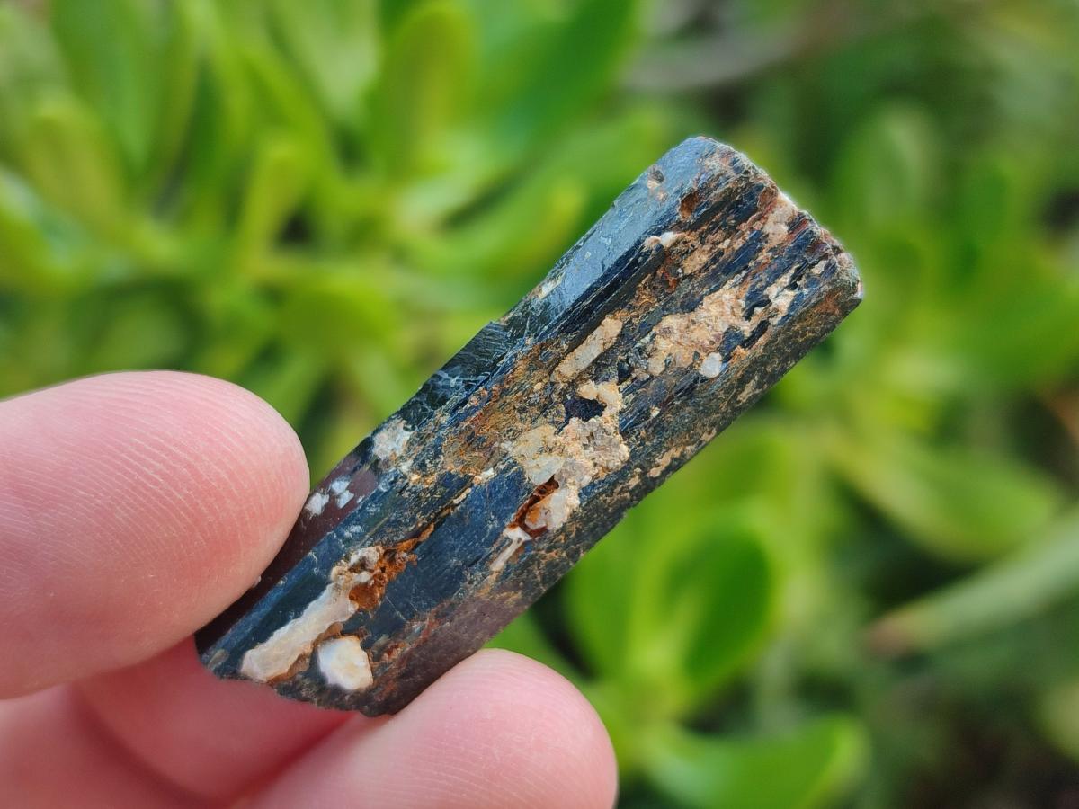 Natural Aegirine Single Crystals x 1,38 Kg Lot From Zomba, Malawi