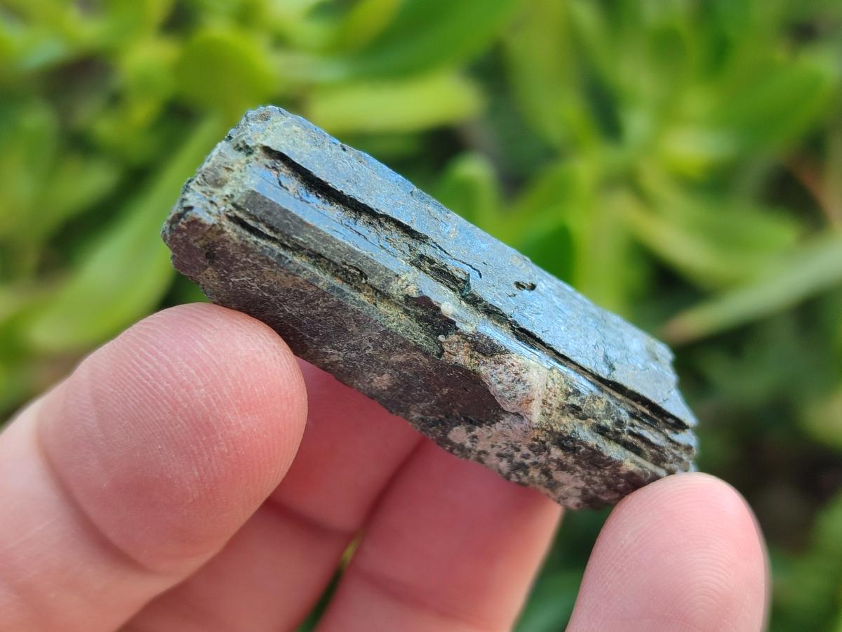 Natural Aegirine Single Crystals x 1,38 Kg Lot From Zomba, Malawi