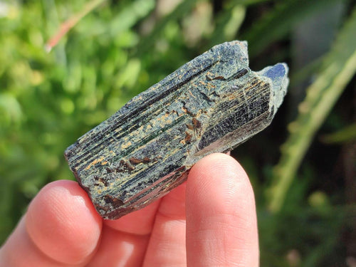 Natural Aegirine Single Crystals x 1,38 Kg Lot From Zomba, Malawi - Toprock Gemstones and Minerals 
