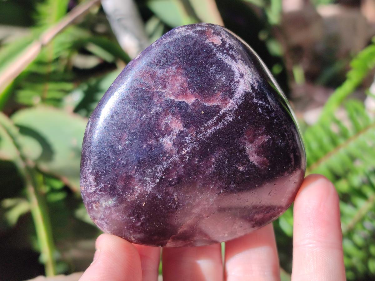 Polished Lepidolite Free Forms x 12 From Zimbabwe