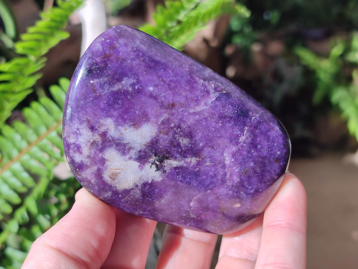 Polished Lepidolite Free Forms x 12 From Zimbabwe