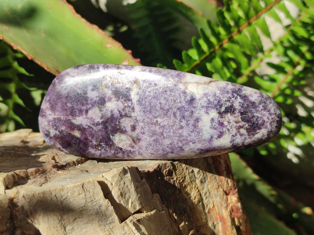Polished Lepidolite Free Forms x 12 From Zimbabwe