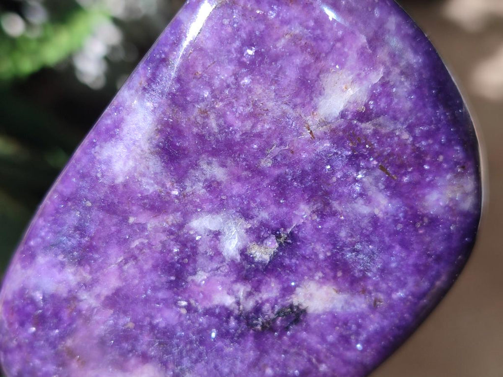 Polished Lepidolite Free Forms x 12 From Zimbabwe