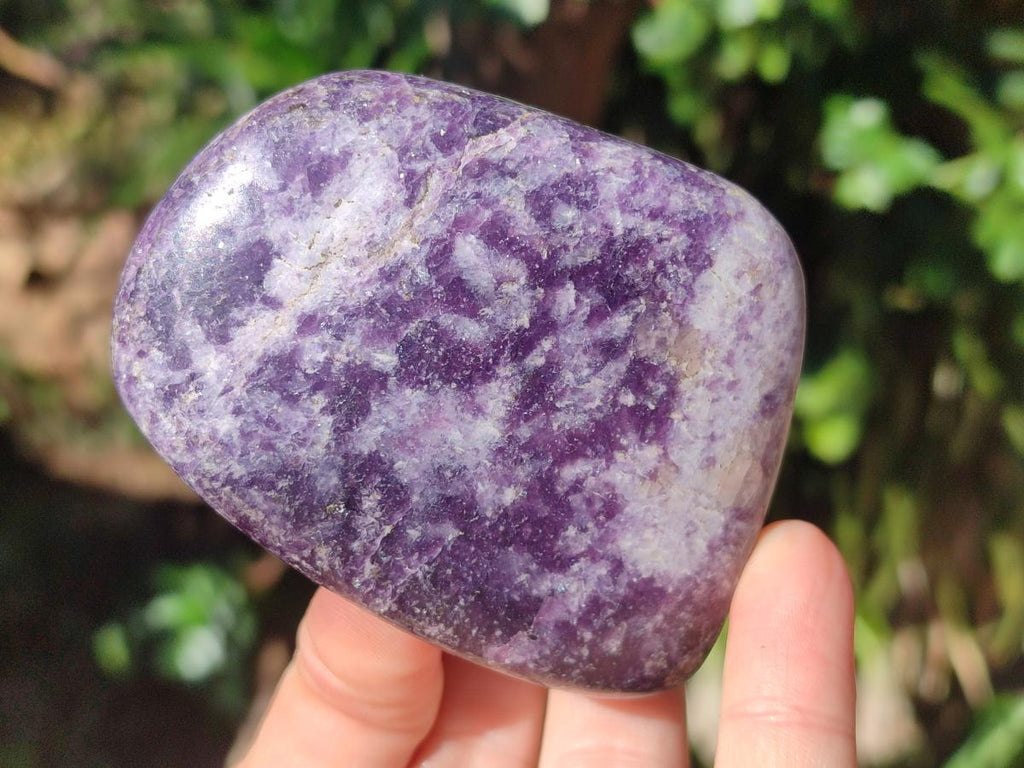 Polished Lepidolite Free Forms x 12 From Zimbabwe