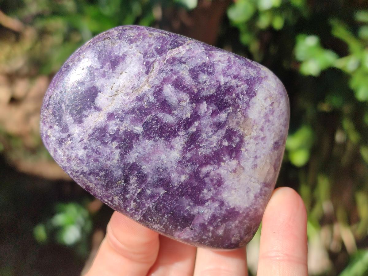 Polished Lepidolite Free Forms x 12 From Zimbabwe