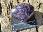 Polished Lepidolite Free Forms x 12 From Zimbabwe