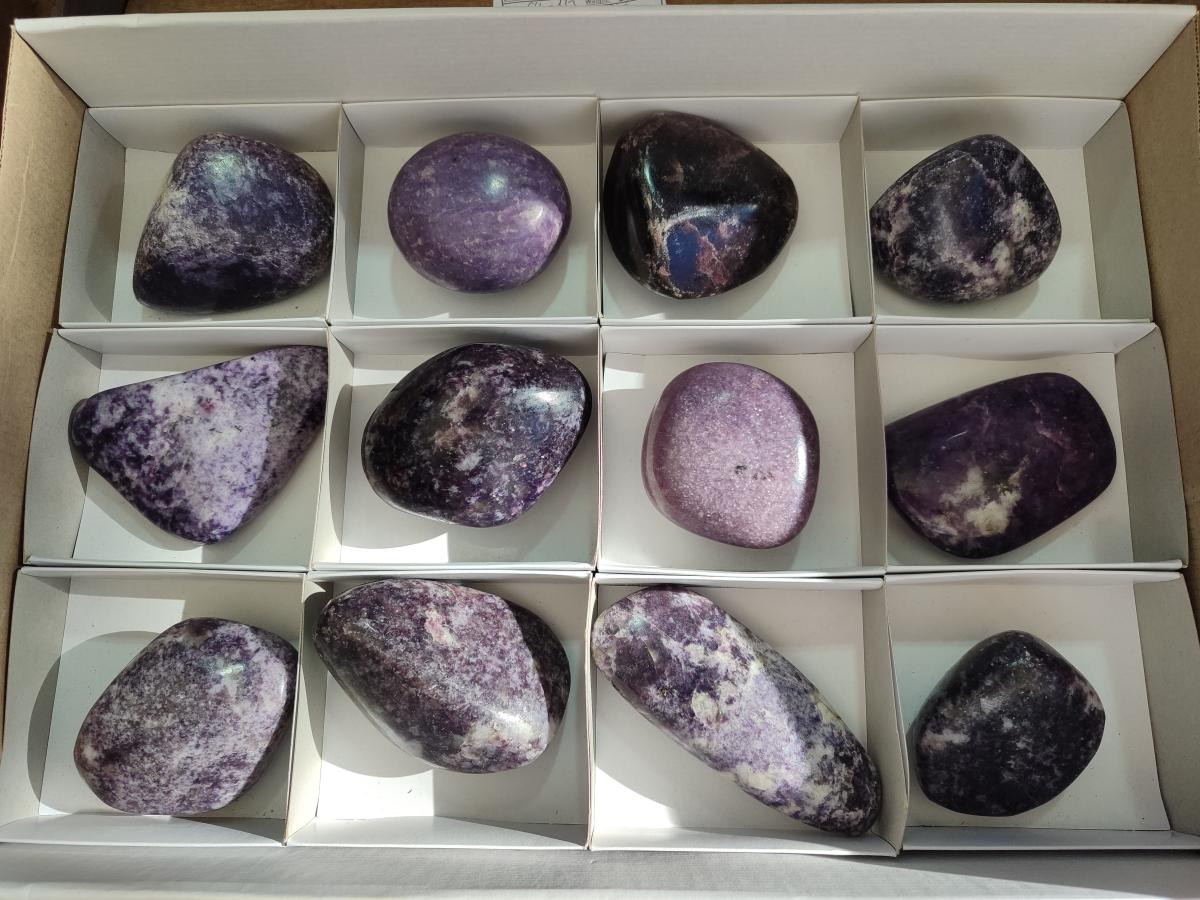 Polished Lepidolite Free Forms x 12 From Zimbabwe