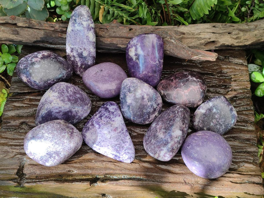 Polished Lepidolite Free Forms x 12 From Zimbabwe