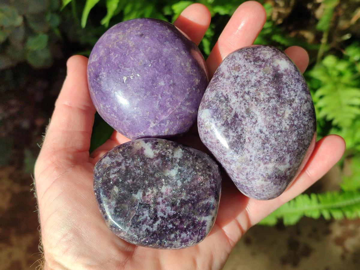 Polished Lepidolite Free Forms x 12 From Zimbabwe