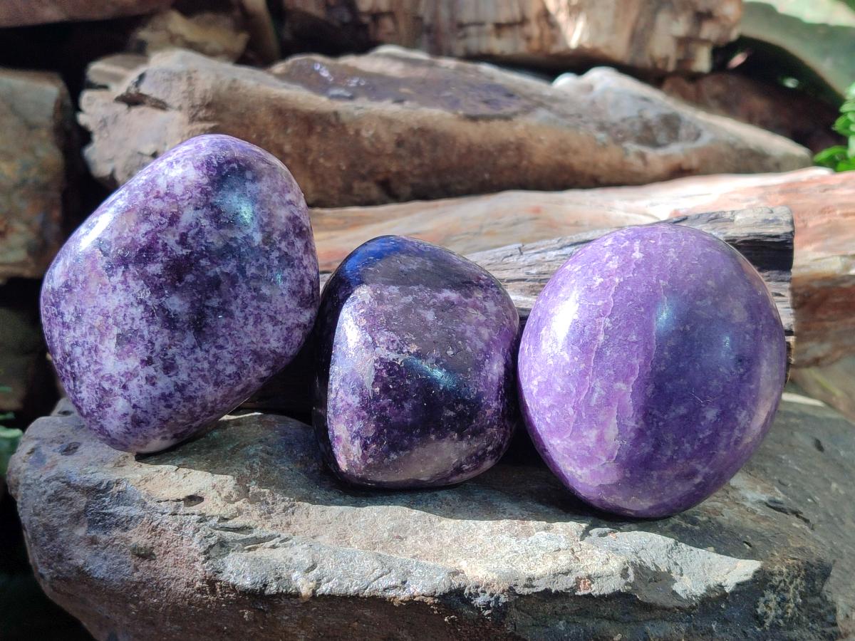 Polished Lepidolite Free Forms x 12 From Zimbabwe