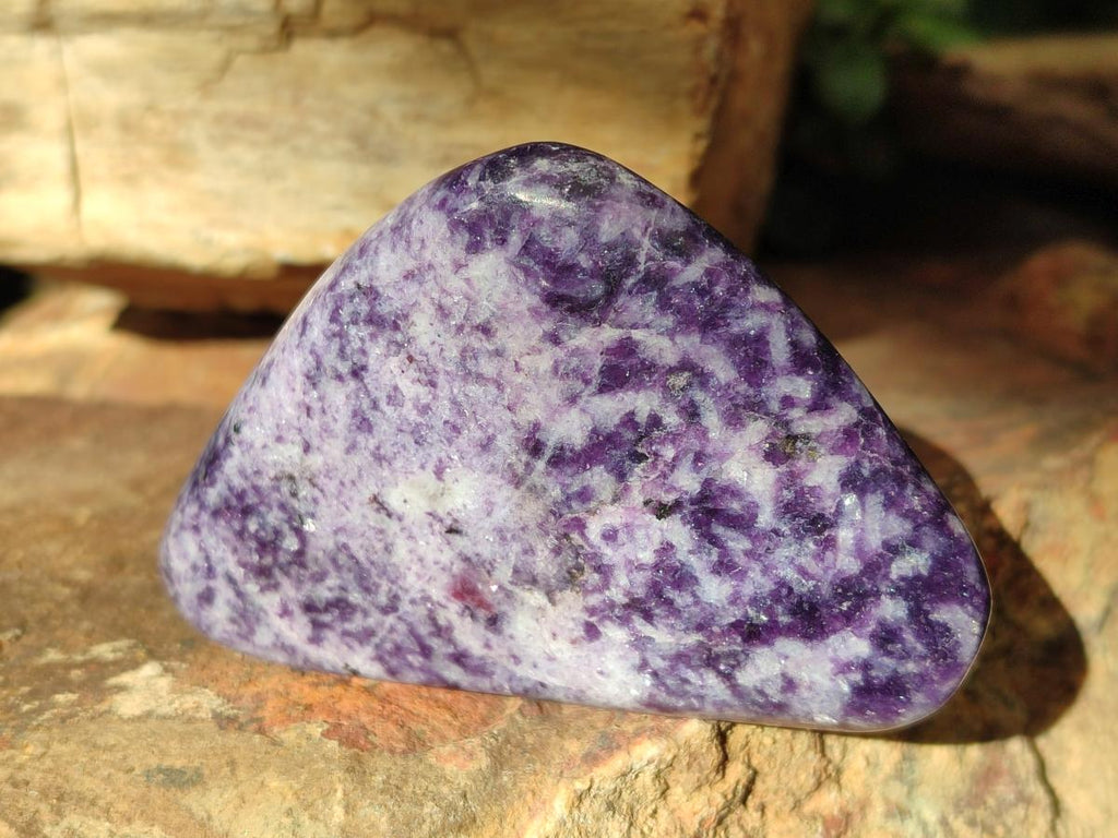 Polished Lepidolite Free Forms x 12 From Zimbabwe