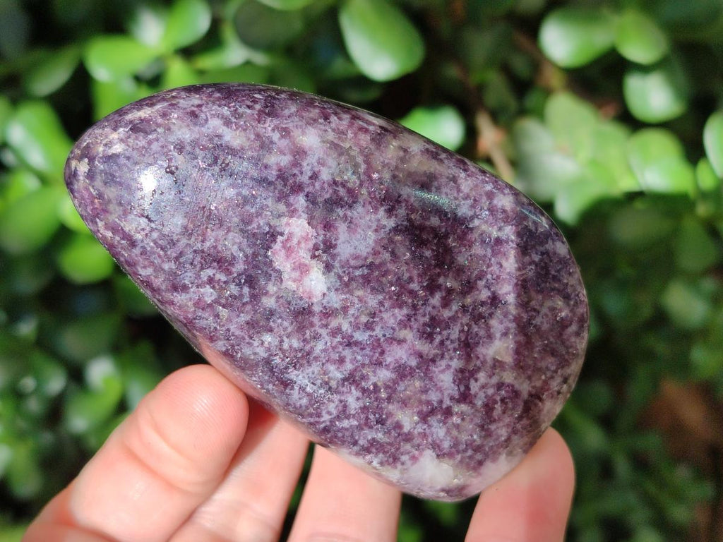 Polished Lepidolite Free Forms x 12 From Zimbabwe