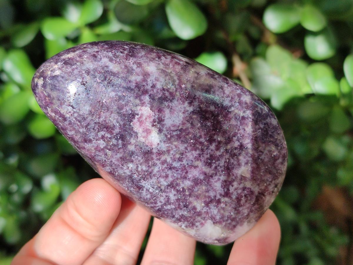 Polished Lepidolite Free Forms x 12 From Zimbabwe