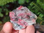 Natural Cobbed Rhodonite Specimens x 35 From Rhusinga, Zimbabwe