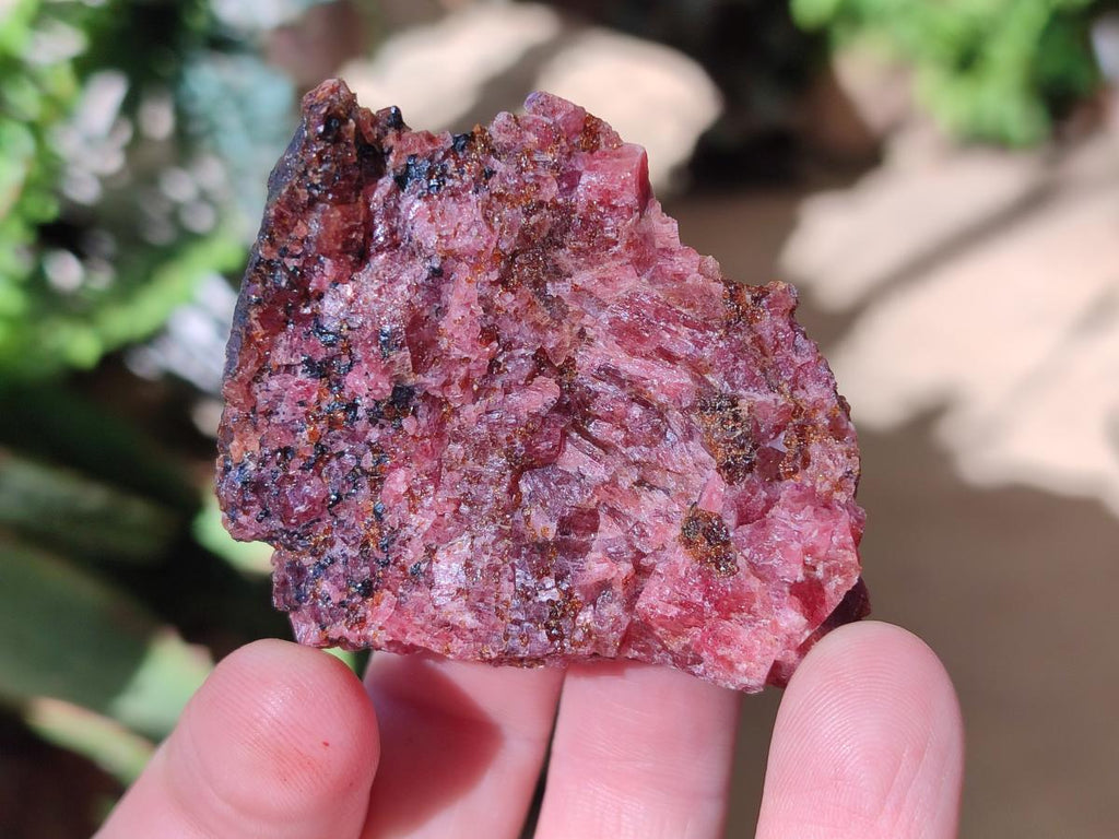 Natural Cobbed Rhodonite Specimens x 35 From Rhusinga, Zimbabwe
