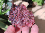 Natural Cobbed Rhodonite Specimens x 35 From Rhusinga, Zimbabwe