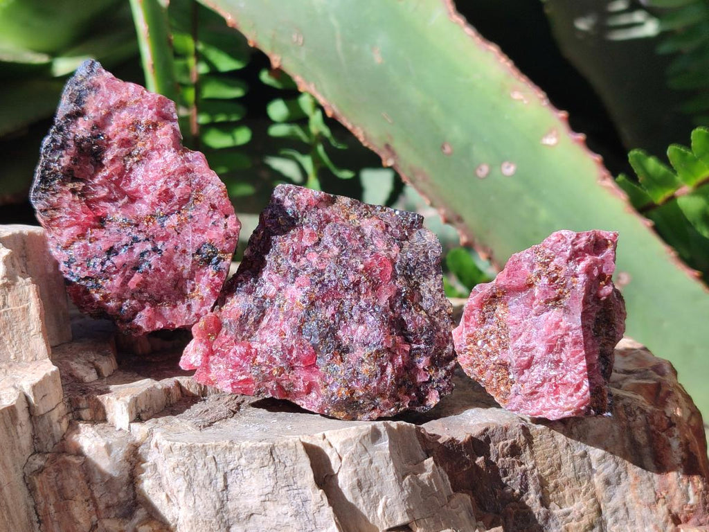 Natural Cobbed Rhodonite Specimens x 35 From Rhusinga, Zimbabwe
