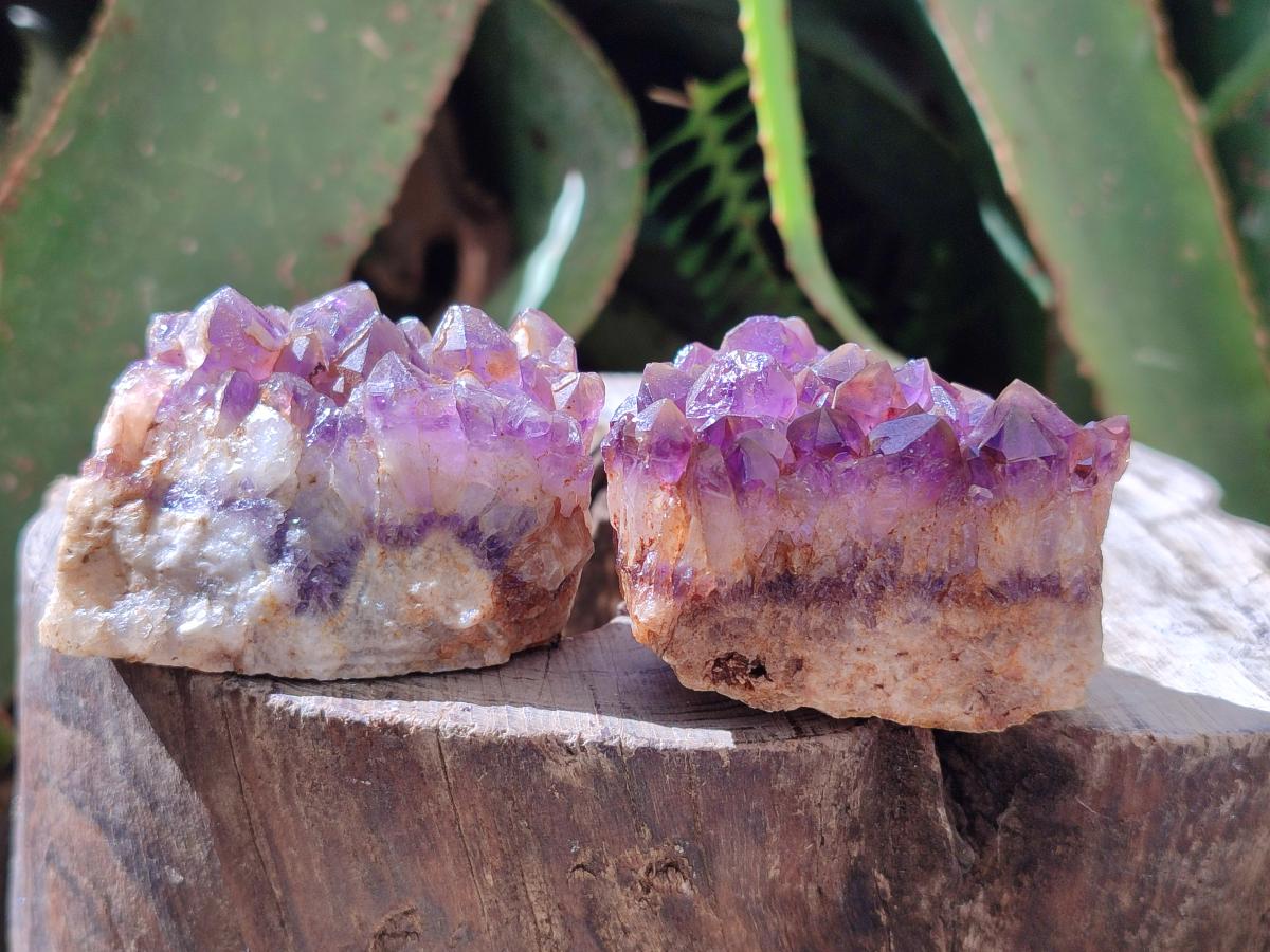 Natural Dark Amethyst Clusters x 24 From Mapatizya, Zambia