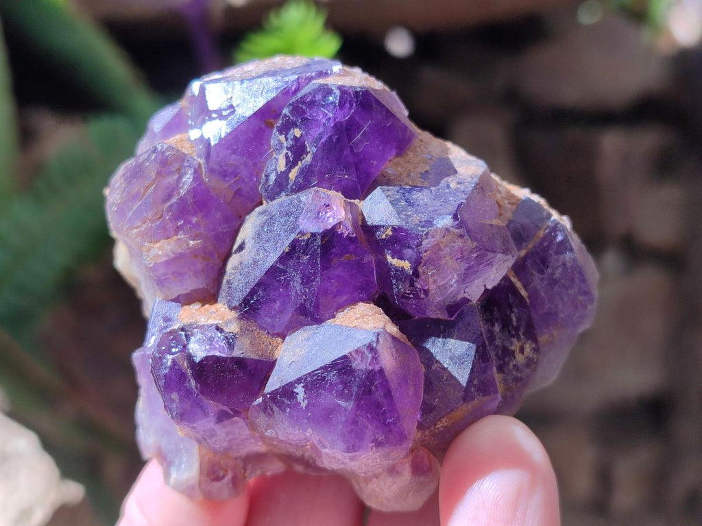 Natural Dark Amethyst Clusters x 24 From Mapatizya, Zambia