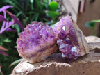 Natural Dark Amethyst Clusters x 24 From Mapatizya, Zambia