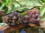 Natural Dark Amethyst Clusters x 24 From Mapatizya, Zambia