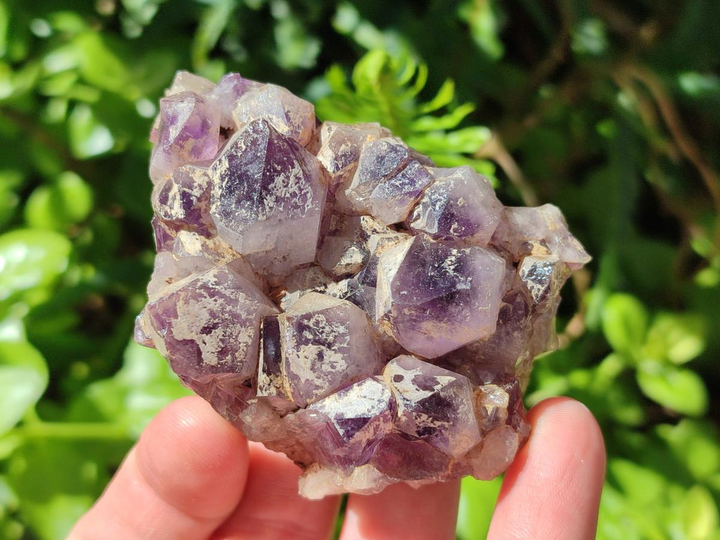 Natural Dark Amethyst Clusters x 24 From Mapatizya, Zambia