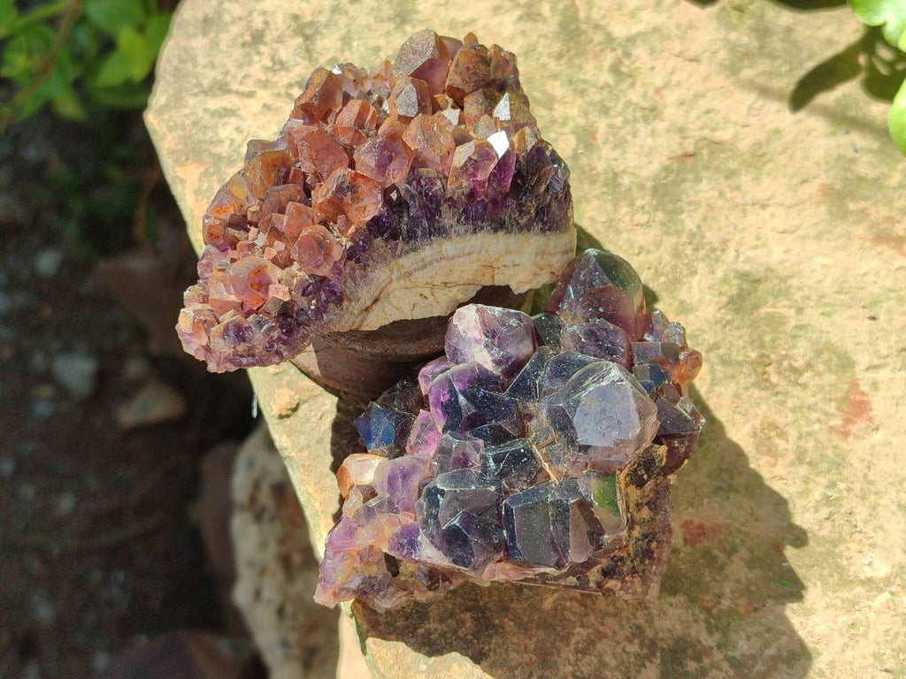 Natural Dark Amethyst Clusters x 24 From Mapatizya, Zambia