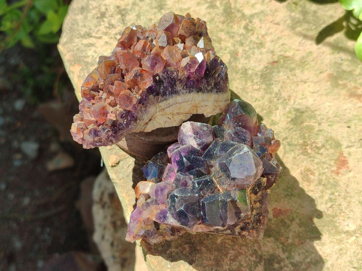 Natural Dark Amethyst Clusters x 24 From Mapatizya, Zambia
